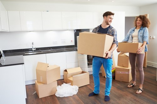 Team of house removalists in action
